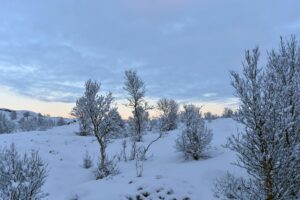 En upplevelse som känns äkta